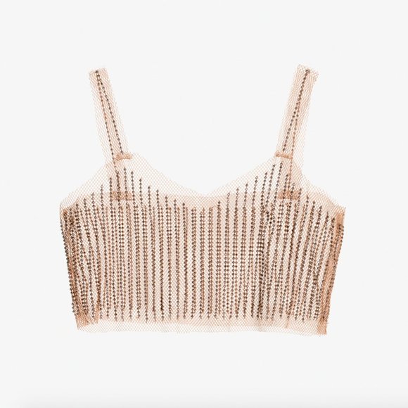 Zara Tops - 👀 ISO 👀ZARA LIMITED EDITION CROPPED TOP 2142/036
